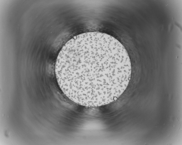 X0000103970768200810171924