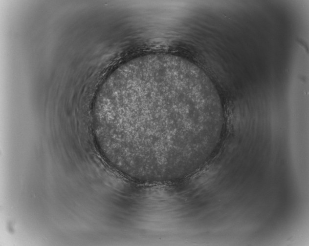 X0000103970769200810171924