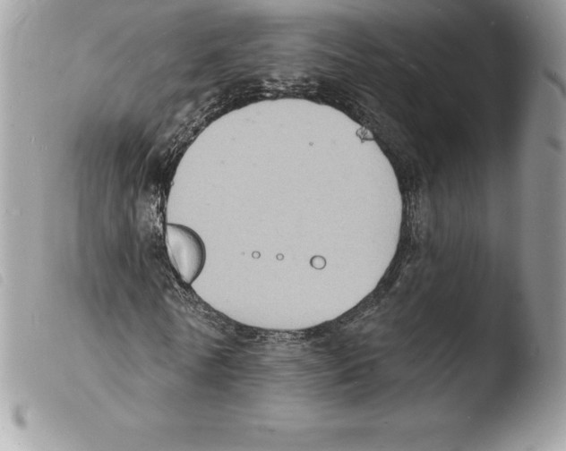 X0000103970770200810171924
