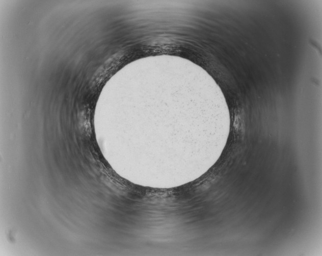 X0000103970771200810171924