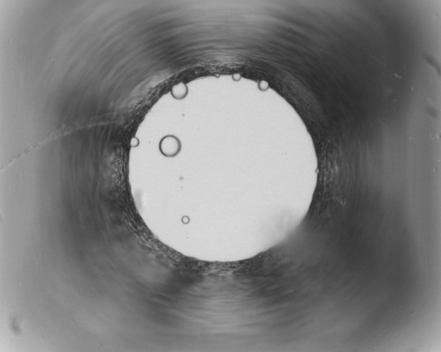 X0000103970773200810171924