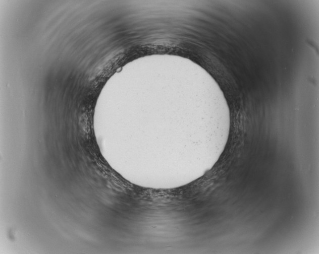 X0000103970774200810171924