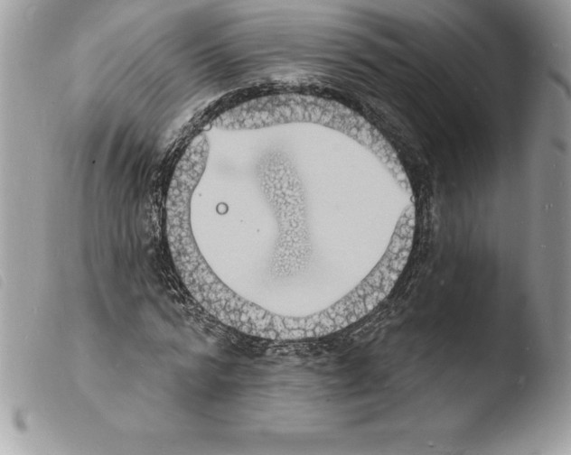 X0000103970776200810171924