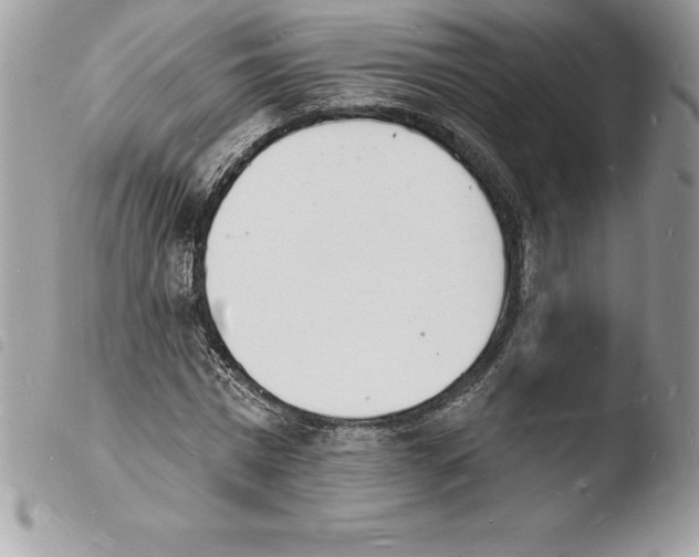 X0000103970777200810171924