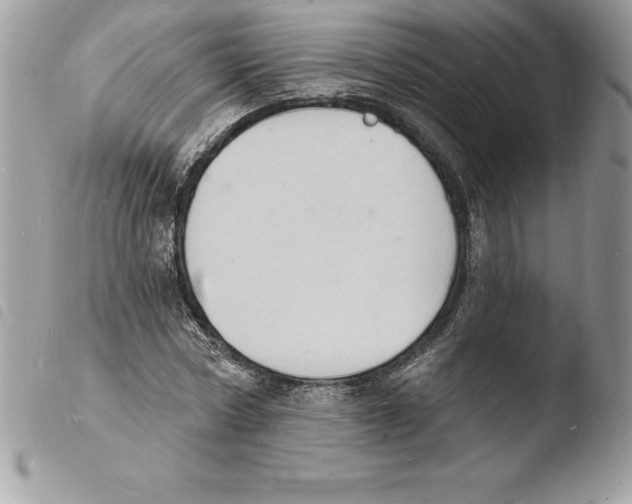 X0000103970778200810171924
