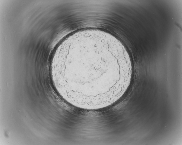 X0000103970779200810171924