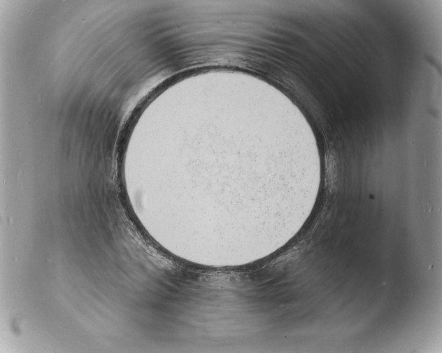 X0000103970780200810171924