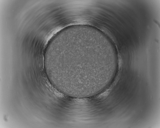 X0000103970781200810171924