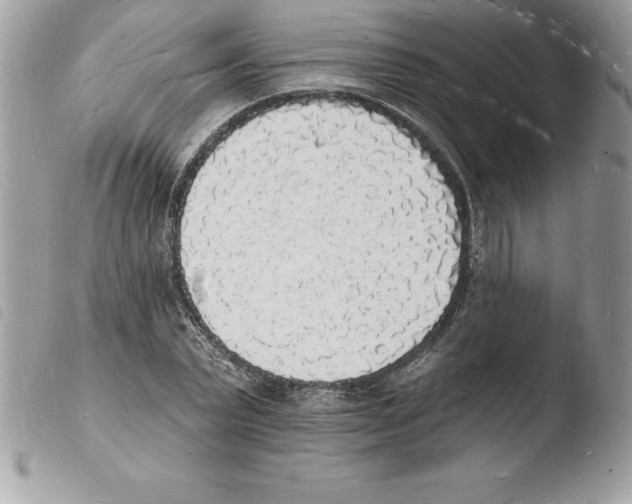 X0000103970783200810171924