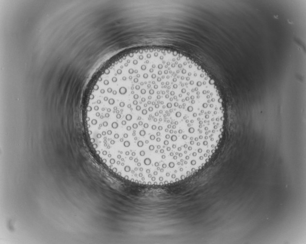 X0000103970784200810171924