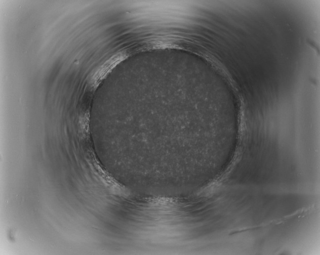 X0000103970785200810171924