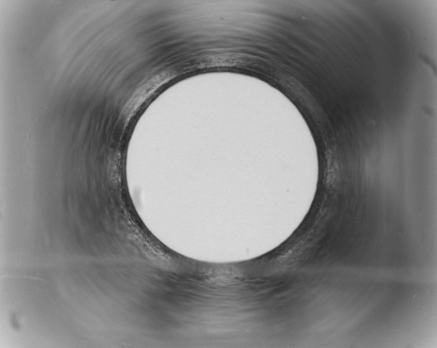 X0000103970786200810171924