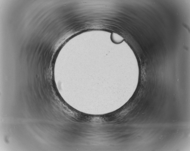 X0000103970787200810171924