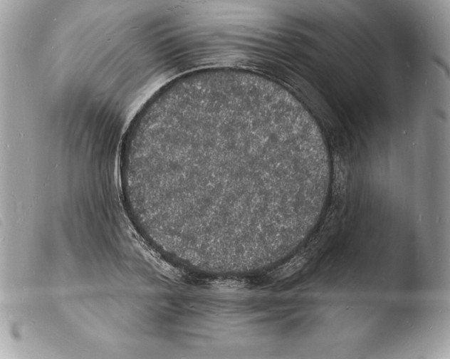 X0000103970788200810171923