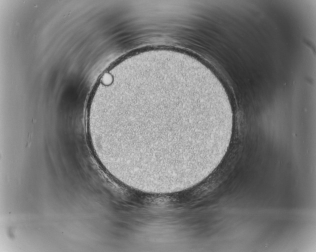 X0000103970791200810171923