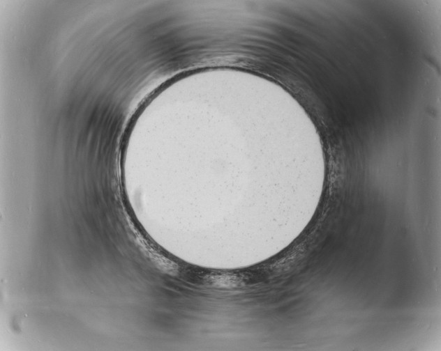 X0000103970792200810171923