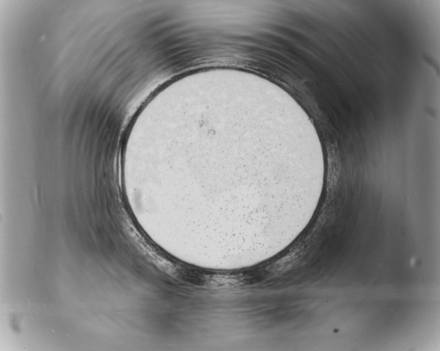 X0000103970796200810171923