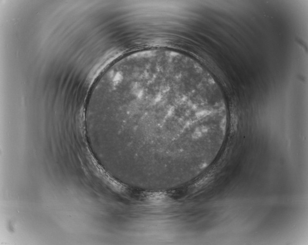 X0000103970798200810171923