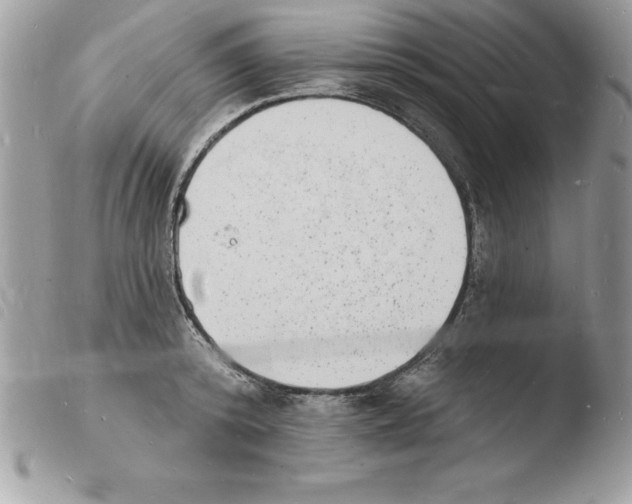 X0000103970800200810171923