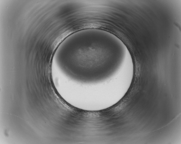 X0000103970802200810171923