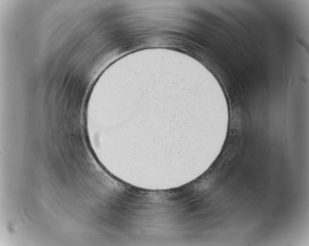 X0000103970803200810171923