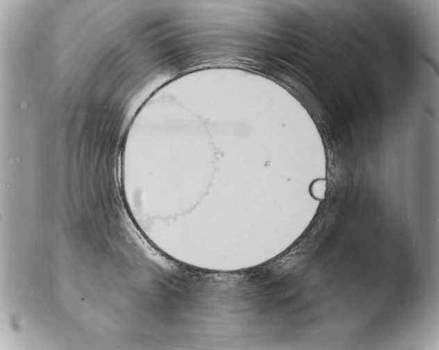 X0000103970804200810171923
