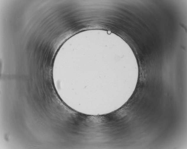X0000103970805200810171923