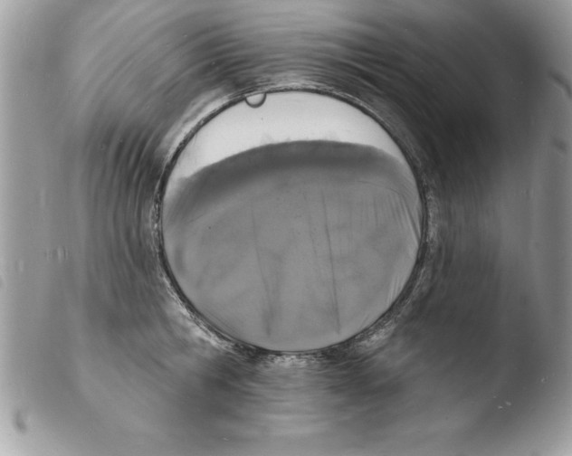 X0000103970806200810171923
