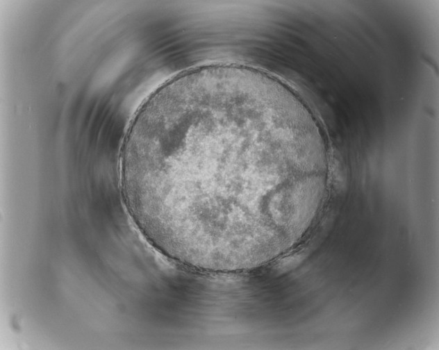 X0000103970807200810171923