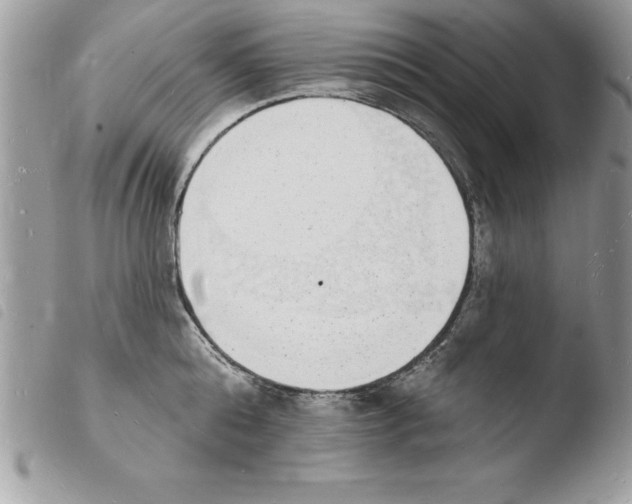 X0000103970808200810171923