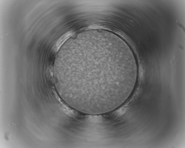 X0000103970809200810171923