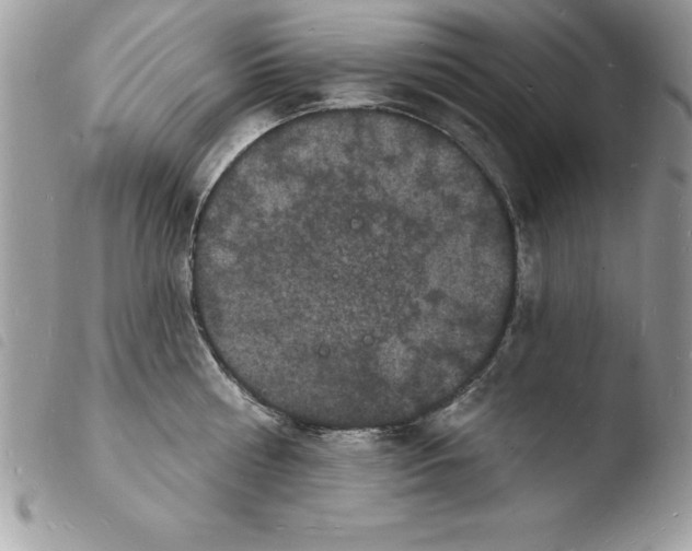 X0000103970810200810171923