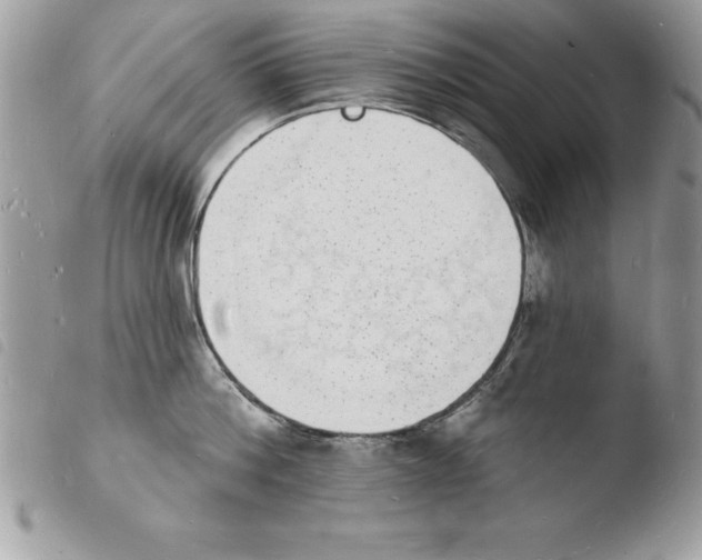 X0000103970812200810171923
