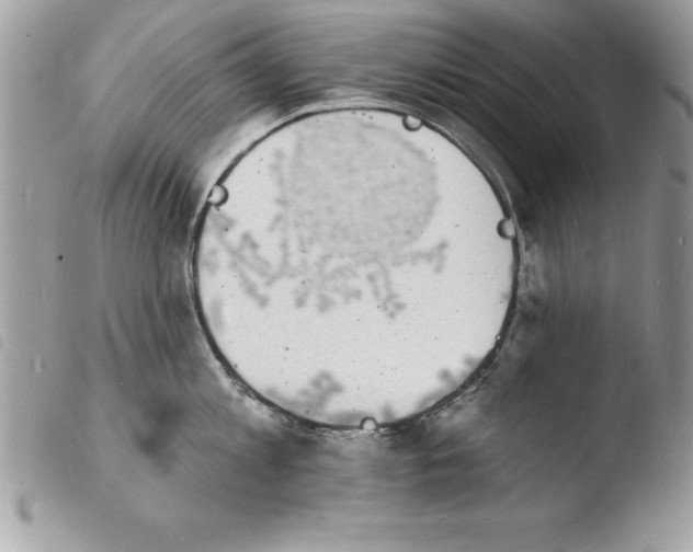 X0000103970813200810171923