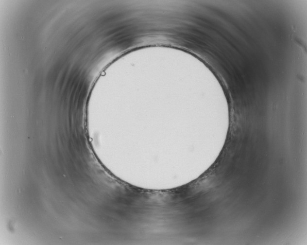 X0000103970815200810171923