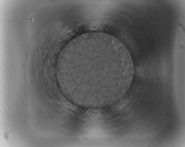 X0000103970817200810171922
