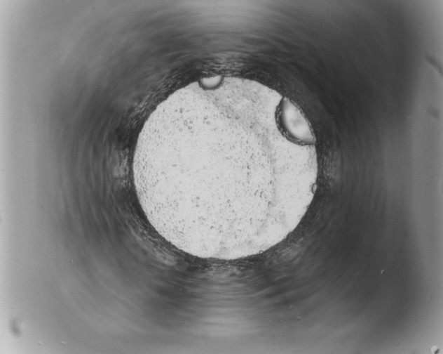X0000103970818200810171922