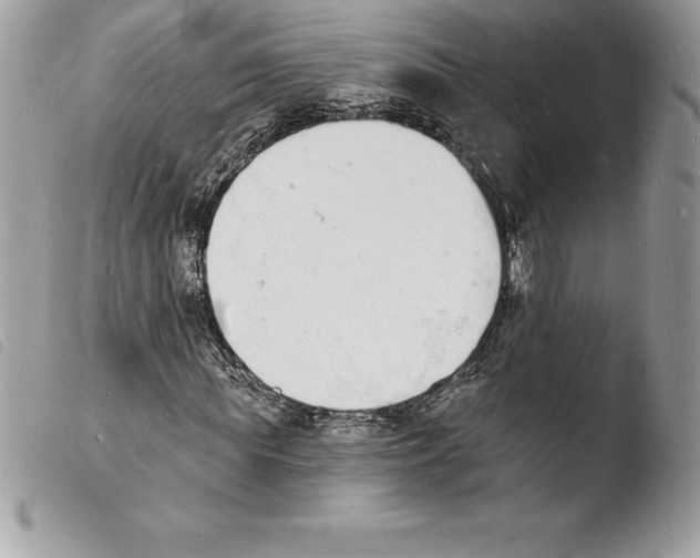 X0000103970819200810171922