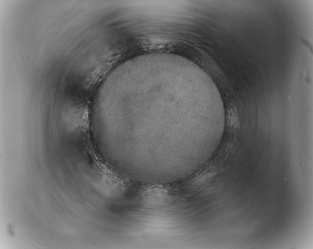 X0000103970820200810171922
