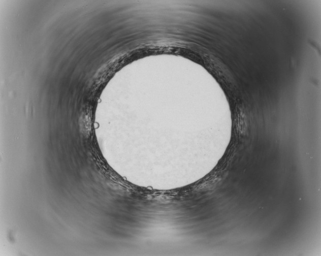 X0000103970821200810171922