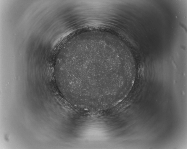 X0000103970822200810171922