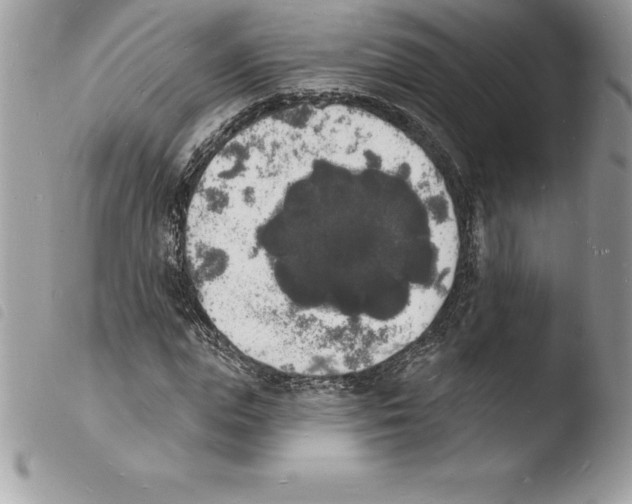 X0000103970823200810171922