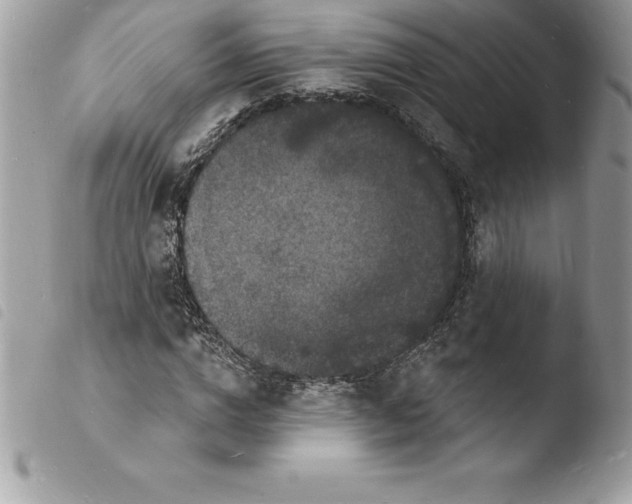 X0000103970824200810171922