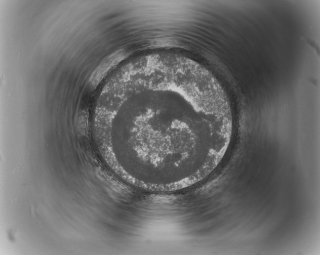 X0000103970825200810171922