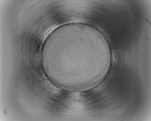 X0000103970828200810171922