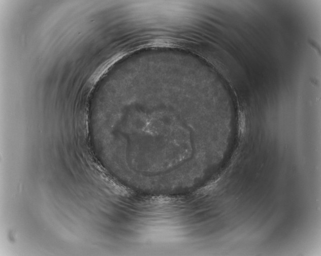 X0000103970829200810171922