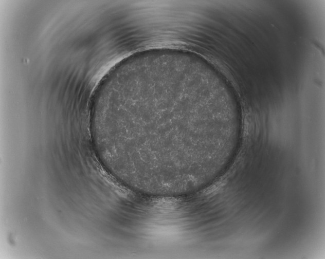 X0000103970830200810171922