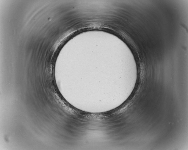 X0000103970831200810171922