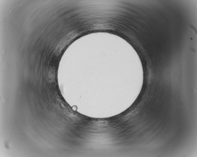 X0000103970833200810171922