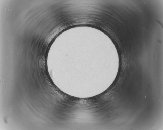 X0000103970834200810171922